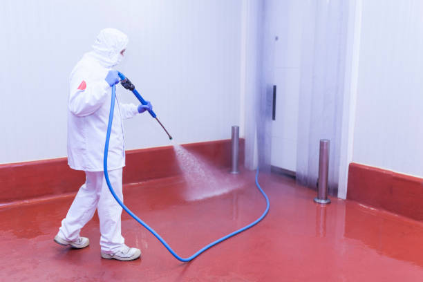 Best Rust Removal  in Tuckerton, NJ